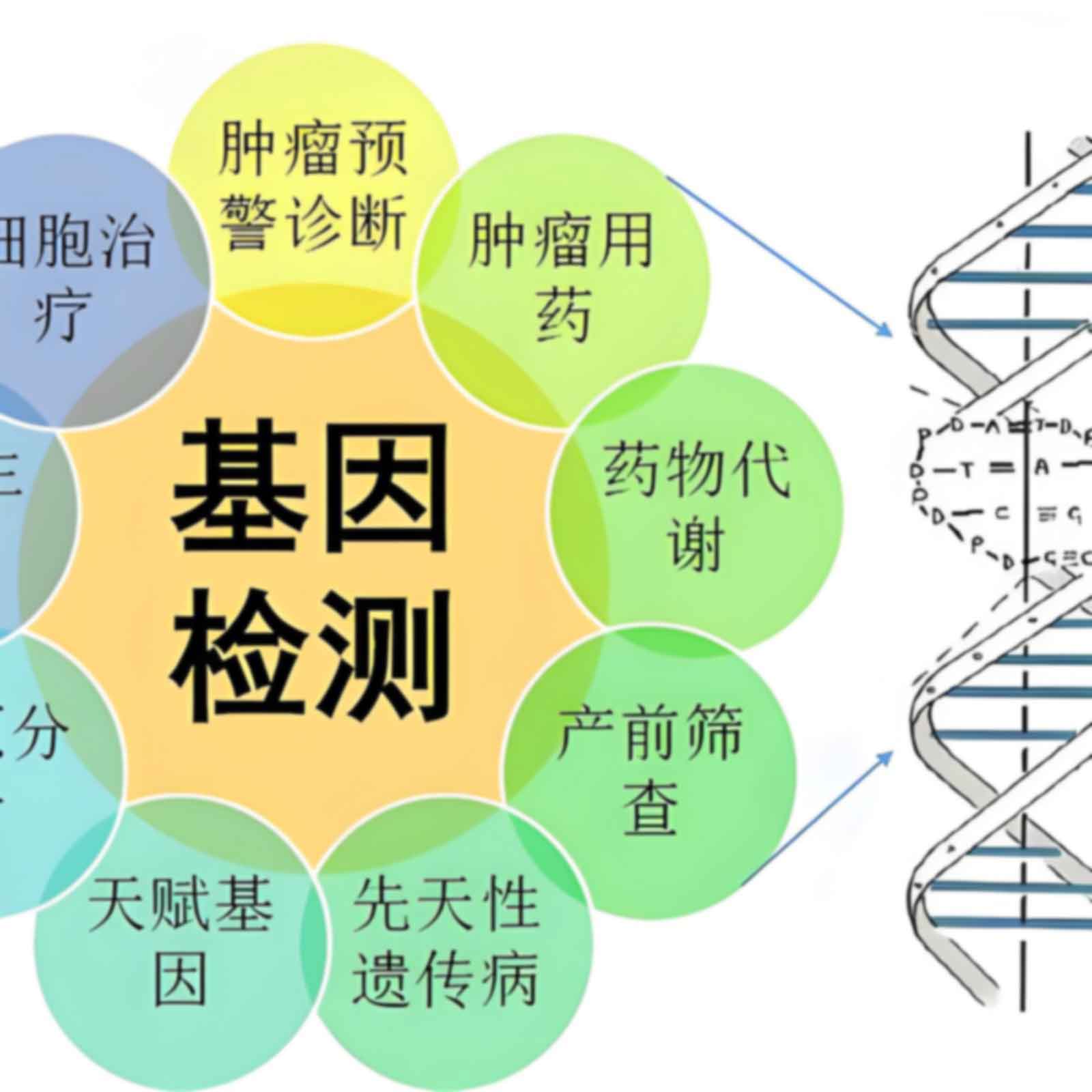 泉州市第一医院做个人亲子鉴定的价格