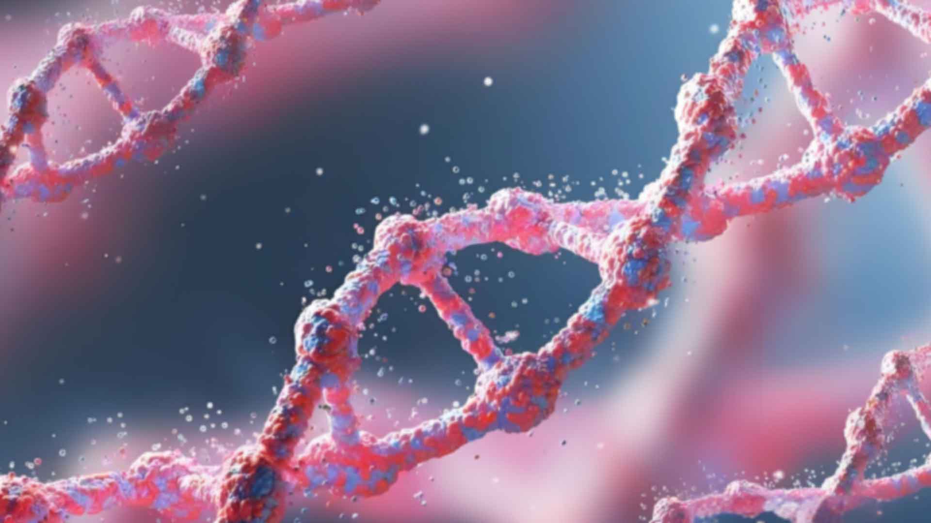 泉州医学高等专科做私下亲子鉴定的流程