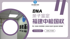 <b>亲子鉴定实操手册：流程、样本与报告解</b>