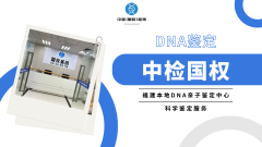 <b>亲子鉴定的法律与隐私：必须了解的边界</b>