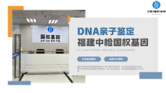 <b>亲子鉴定报告解读:3 步看懂核心信息,</b>