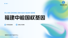 <b>亲子鉴定报告怎么看?3 步读懂,不用怕</b>